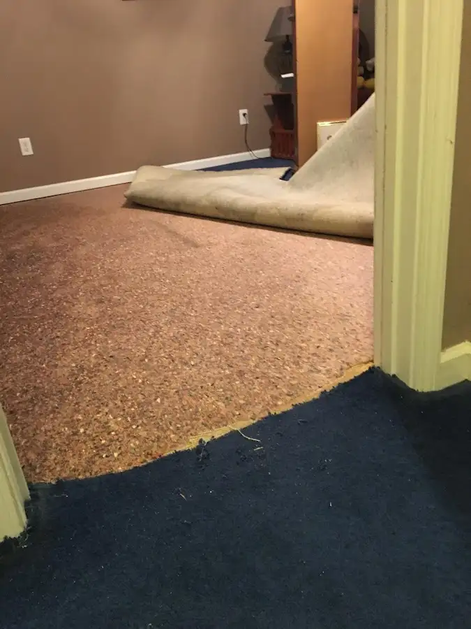 Carpet pad removal revealing water damage during Water Mitigation Services in Bensville